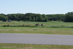 DSC00202