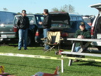 GEDC0238-1