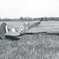 Spitfire-M