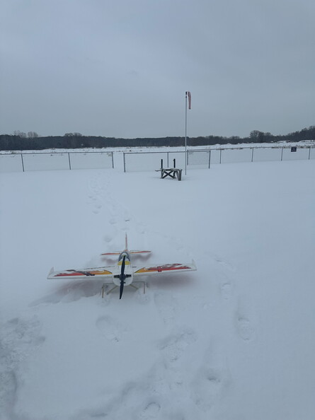 Freeze Fly-5.jpg