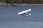 Float Fly-095