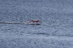 Float Fly-130